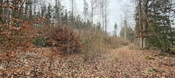 Terrain à Neustadt an der Waldnaab, Germany No. 133961 5
