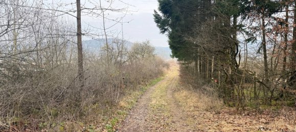 Terrain à Neustadt an der Waldnaab, Germany No. 133961 7