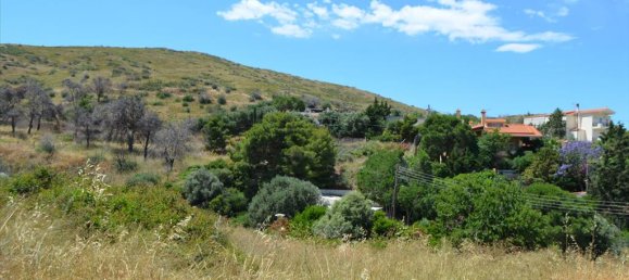 5 غرف نوم عقار تجاري في Palaia Fokaia, Greece رقم 7808 26