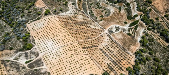 Terrain à Murcia, Spain No. 140409 5