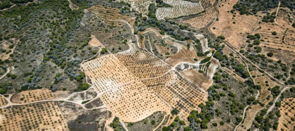 Terrain à Murcia, Spain No. 140409 3