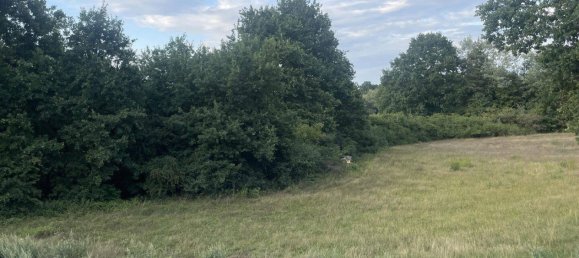 Квартира с 4 комнатами в Швабах, Германия № 253546 13