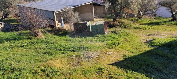 5 bedrooms House in Pombal, Portugal No. 42362 19