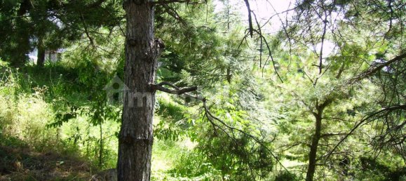 3 bedrooms Villa in Force, Italy No. 165281 12