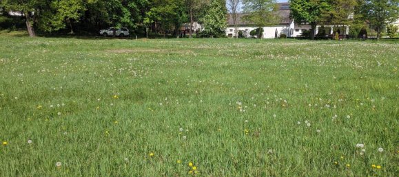  Land in Tobaj, Austria No. 261762 3