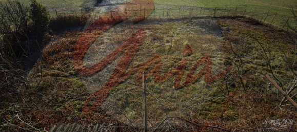 10 rooms Villa in Caselette, Italy No. 135712 4