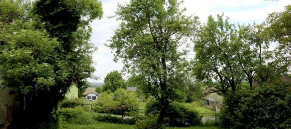 4-salle Maison à Heiligenkreuz im Lafnitztal, Austria No. 136783 3