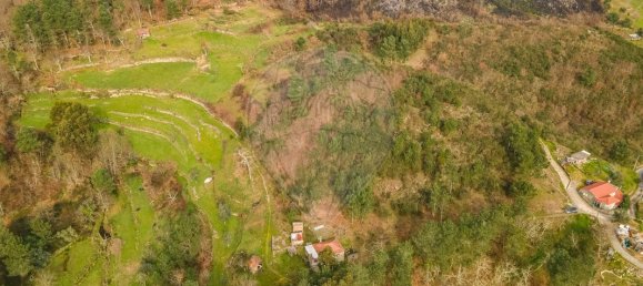 2 bedrooms House in Baiao, Portugal No. 179256 13