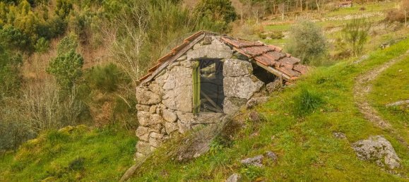 2 bedrooms House in Baiao, Portugal No. 179256 14