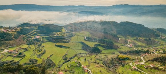 2 bedrooms House in Baiao, Portugal No. 179256 12