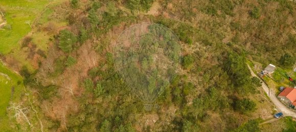 2 bedrooms House in Baiao, Portugal No. 179256 8