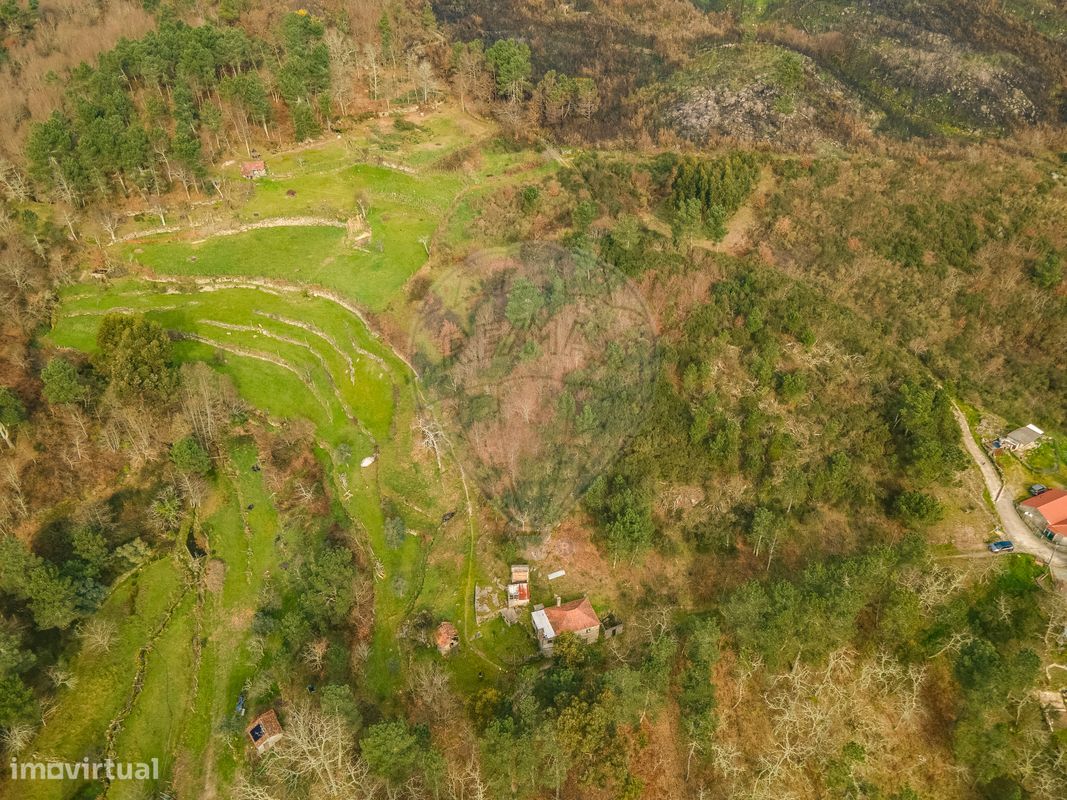 2 bedrooms House in Baiao, Portugal No. 179256