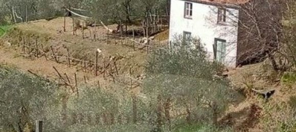 2 rooms House in Ne, Italy No. 75699 2