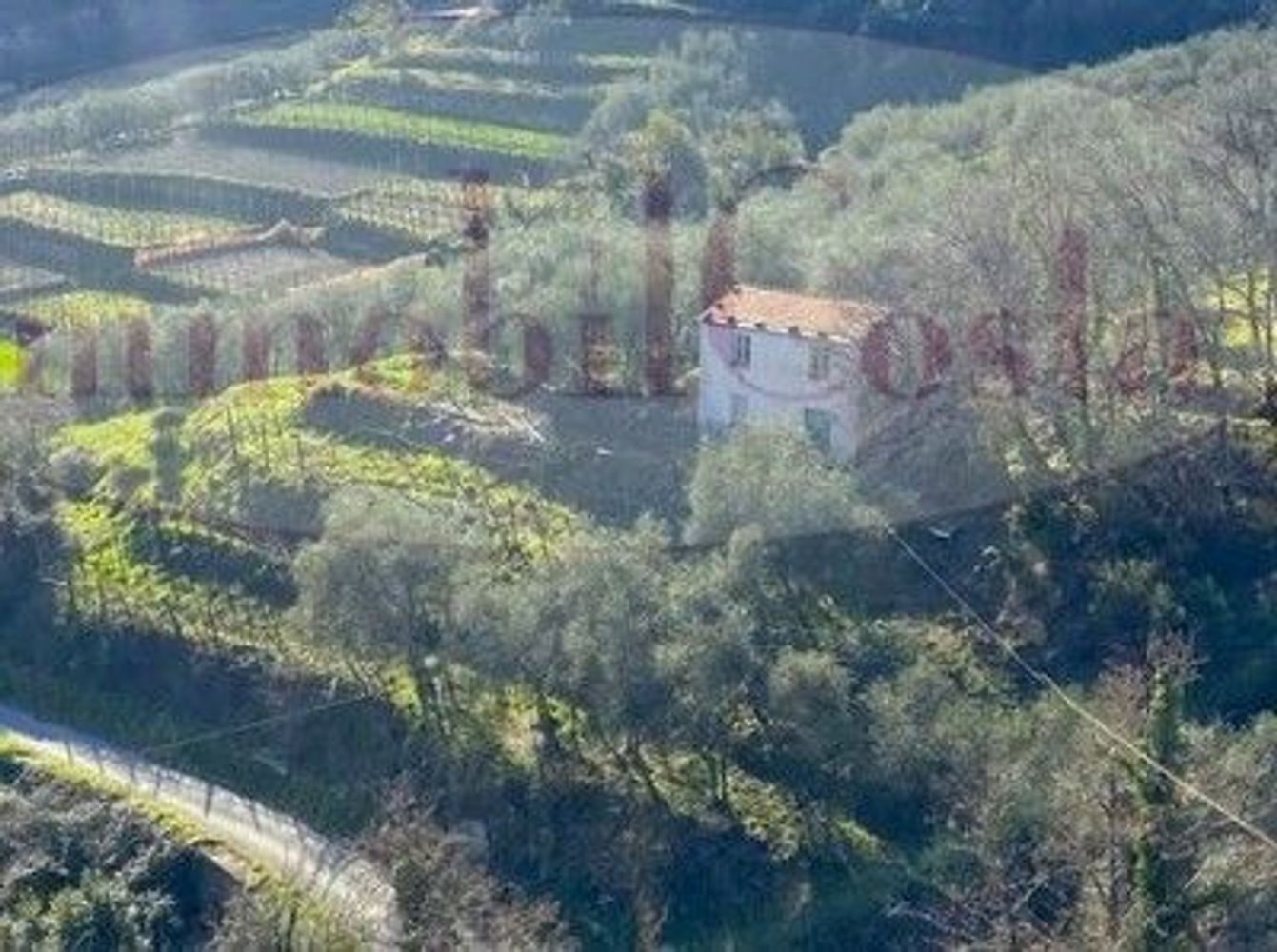 2 rooms House in Ne, Italy No. 75699