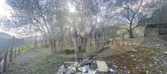 2 rooms House in Ne, Italy No. 75699 6