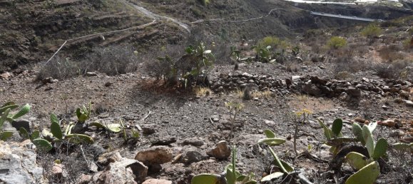 Terreno em Guia de Isora, Spain 6100 m² N.º 188168 27