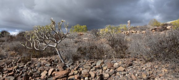 Terreno em Guia de Isora, Spain 6100 m² N.º 188168 32