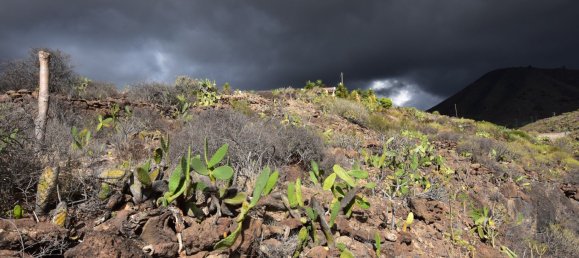 Terreno em Guia de Isora, Spain 6100 m² N.º 188168 5