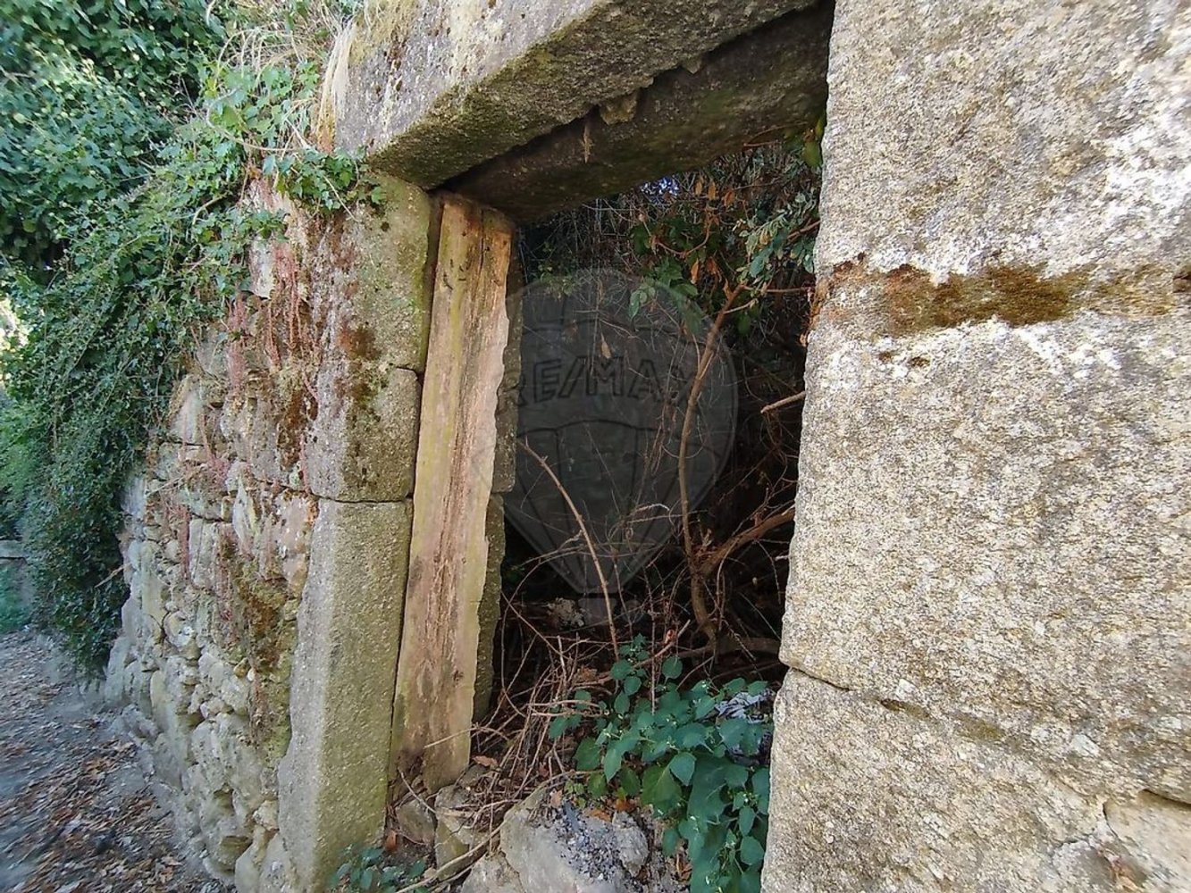 1 Schlafzimmer Haus in Resende, Portugal, Nr. 184298