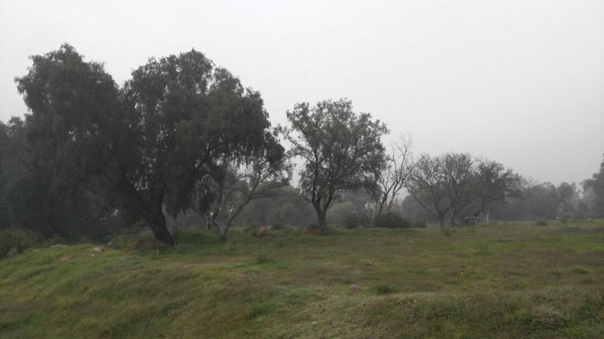  Land in Ciudad Nezahualcoyotl, Mexico No. 204723