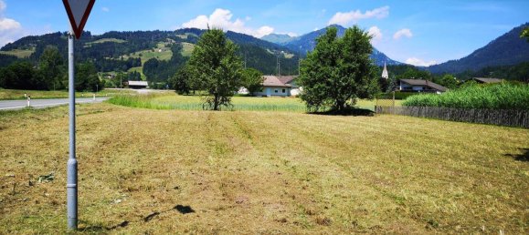 Terrain à Kotschach-Mauthen, Austria No. 44818 5