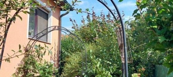 5 rooms Bungalow in Vienna, Austria No. 130478 18