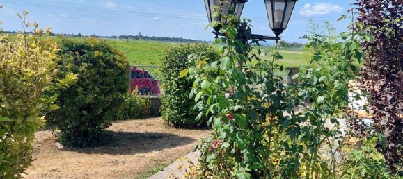 5 rooms Bungalow in Vienna, Austria No. 130478 4