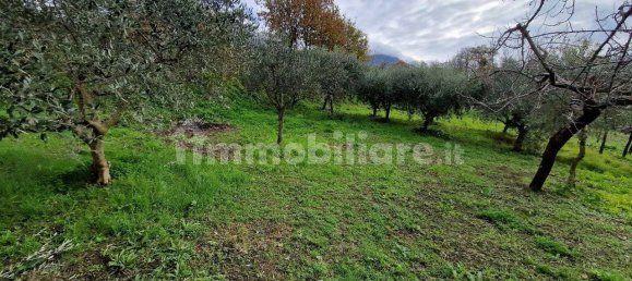 3 Schlafzimmer Haus in Sant'Agata de' Goti, Italy, Nr. 59626 2