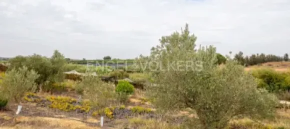 Casa de 3 dormitorios en Huelva, Spain No. 138609 50