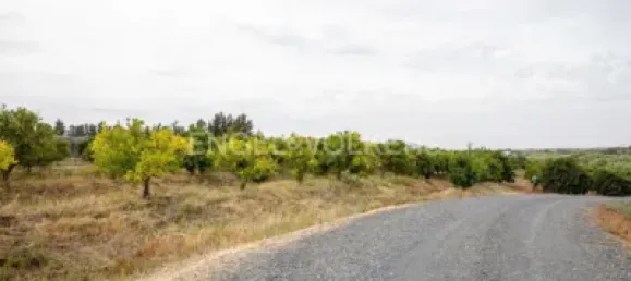 Casa de 3 dormitorios en Huelva, Spain No. 138609 49