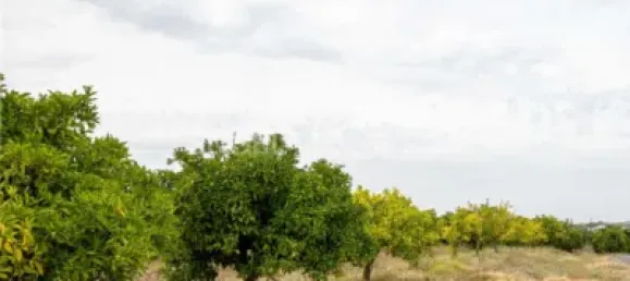 Casa de 3 dormitorios en Huelva, Spain No. 138609 46