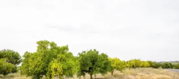 Casa de 3 dormitorios en Huelva, Spain No. 138609 45