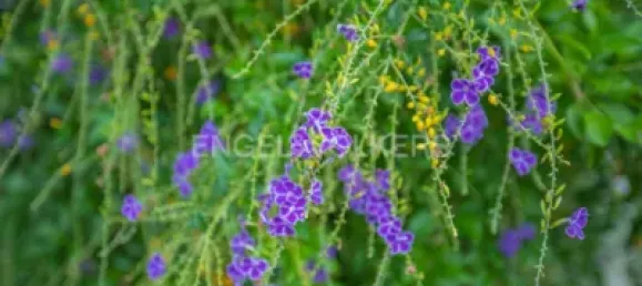 Casa de 3 dormitorios en Huelva, Spain No. 138609 36