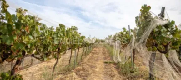 Casa de 3 dormitorios en Huelva, Spain No. 138609 44