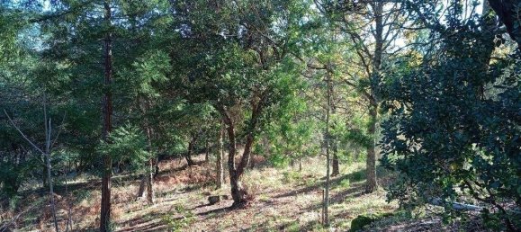 8 Schlafzimmer Stadthaus in Portalegre, Portugal, Nr. 146358 8