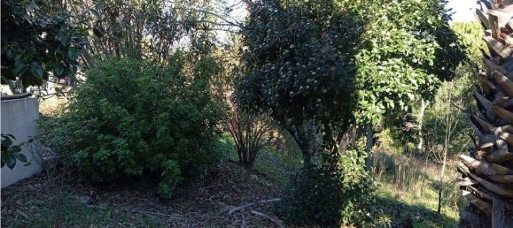 8 Schlafzimmer Stadthaus in Portalegre, Portugal, Nr. 146358 9