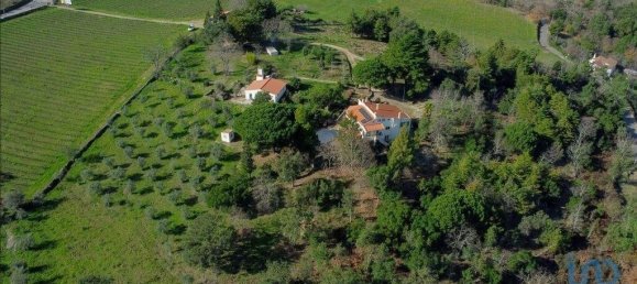 8 Schlafzimmer Stadthaus in Portalegre, Portugal, Nr. 146358 18