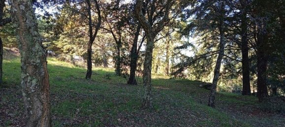 8 Schlafzimmer Stadthaus in Portalegre, Portugal, Nr. 146358 14