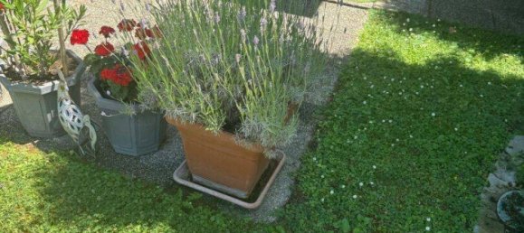 4-salle Bungalow à Trumau, Austria No. 196474 5