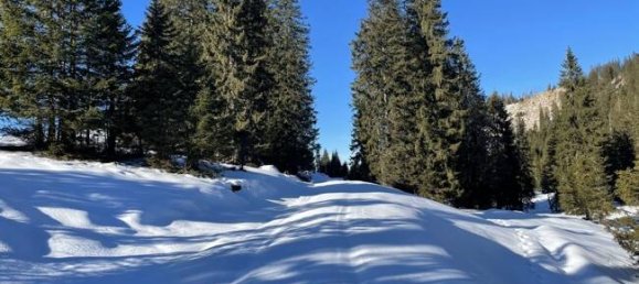  قطعة أرض في Garmisch-Partenkirchen, Germany رقم 228917 3