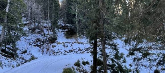  قطعة أرض في Garmisch-Partenkirchen, Germany رقم 228917 2