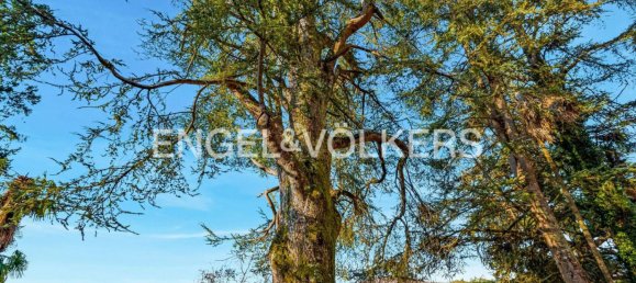 10 bedrooms Villa in Fivizzano, Italy No. 132391 15