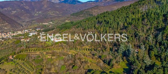 10 bedrooms Villa in Fivizzano, Italy No. 132391 27