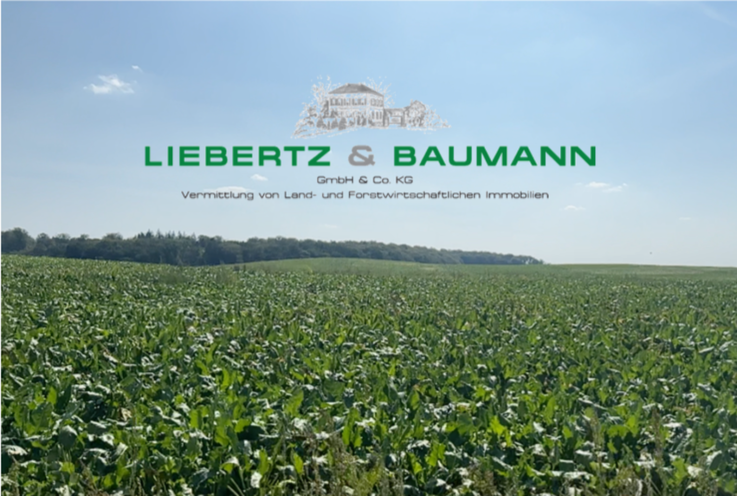 Grundstück in Rhein-Erft, Germany, Nr. 154983