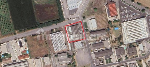Lagerhaus in Bozzolo, Italy 1731m², Nr. 319037 13