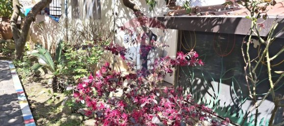 3 bedrooms Villa in Santi Cosma e Damiano, Italy No. 54047 49