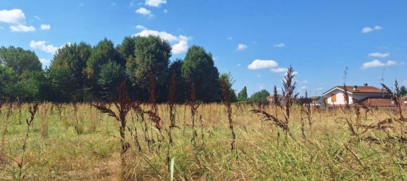 Lagerhaus in Ferrara, Italy 1267m², Nr. 376336 14