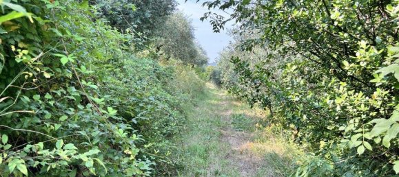 10523m² Land in Tregnago, Italy No. 147432 8