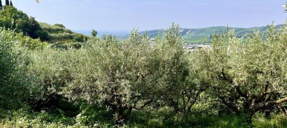 10523m² Land in Tregnago, Italy No. 147432 4