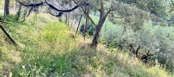 10523m² Land in Tregnago, Italy No. 147432 21